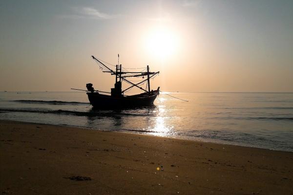 2025年属龙孽缘生肖是谁，属龙人最忌讳什么属相