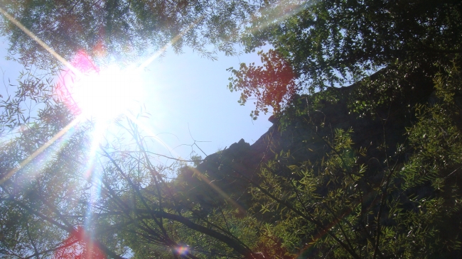 2025属蛇最忌四种东西