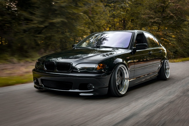 2025年光彩照人的生肖女