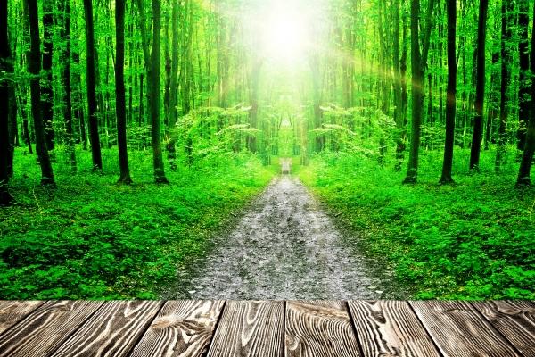 2025属猴最忌四种东西