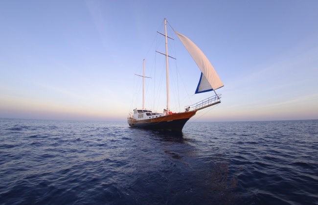 2025年最开心的生肖女