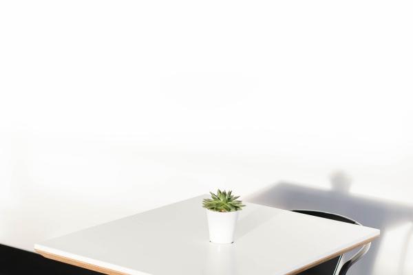 99年兔2025年有三喜