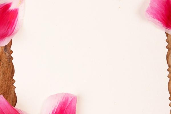 梦见蟒蛇攻击预示什么