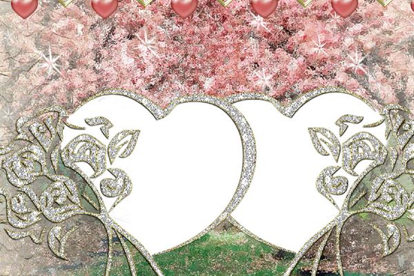 梦见马虾是凶兆还是吉兆