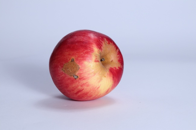 梦到望远是怎么回事