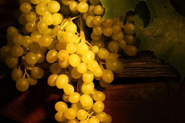 梦到表彰会什么寓意