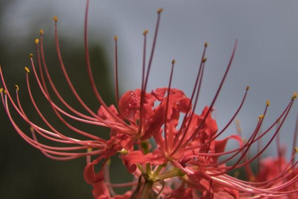 梦见抚摸别人是什么兆头