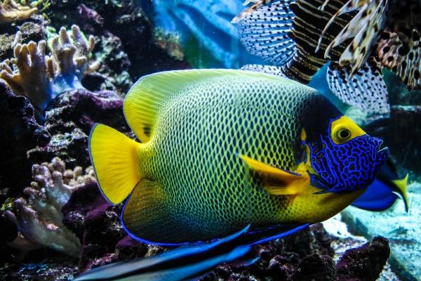 梦到了光定什么寓意