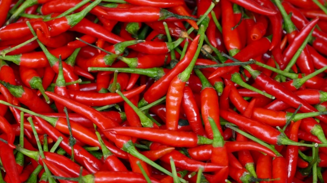 梦到老玉米会有什么预兆