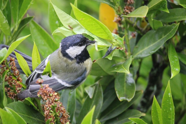 梦到混乱场面是凶兆还是吉兆