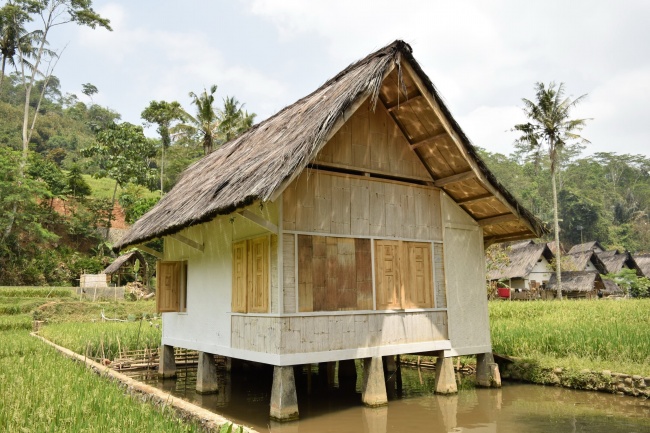 梦到吃苦菜代表什么