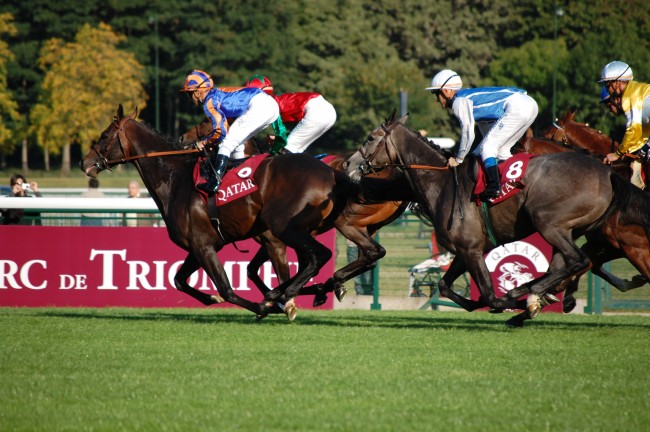 梦到了小孩骑自行车预兆了什么吗