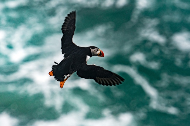 梦到长红斑是什么意思