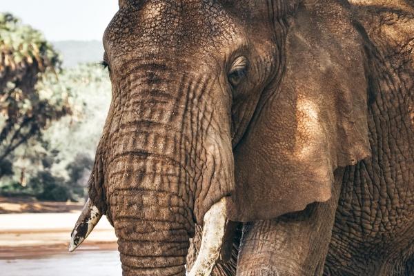 梦见自己没有结婚代表着什么？