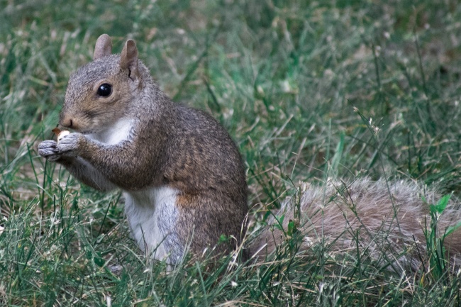 梦到死去的父亲活过来了有什么寓意吗?