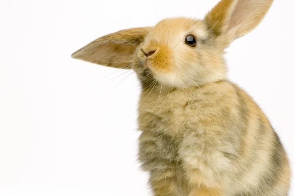 梦到跳楼摔死预示着什么