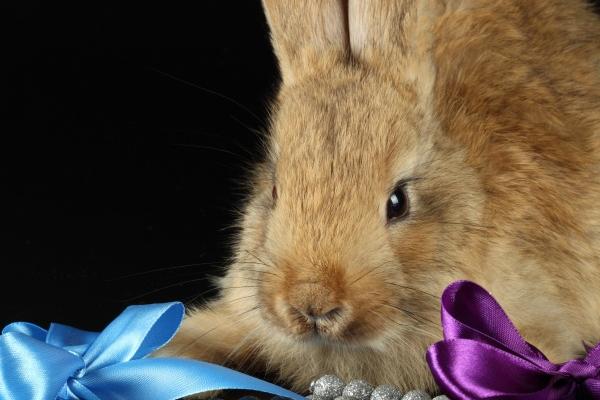 梦到了叠裤子意味什么