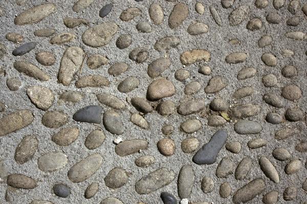 梦到女士内裤是好是坏