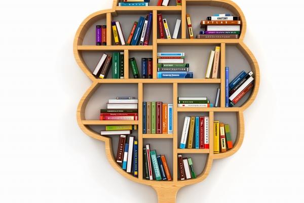 梦见金乌预示什么