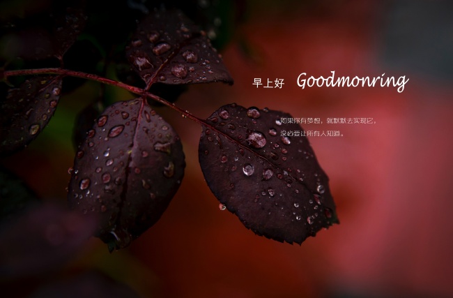 梦到了男人全裸是啥意思