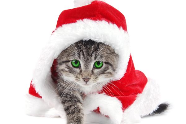 梦到消防员灭火是什么预兆