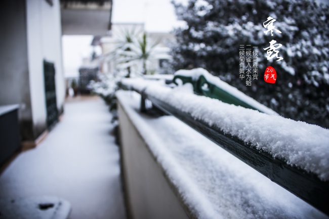 梦见许多花生是怎么回事