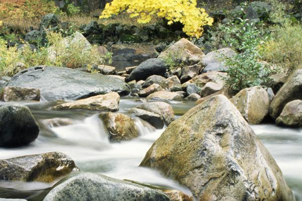 梦到了别人家的床预示什么