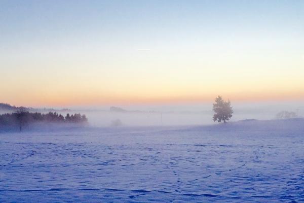 梦见床上有垃圾怎么说