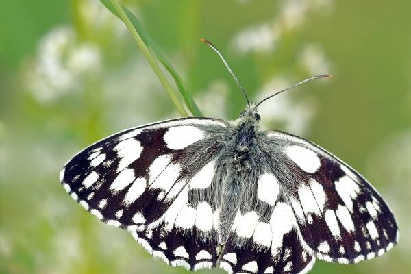 梦到与同学吃饭怎么说