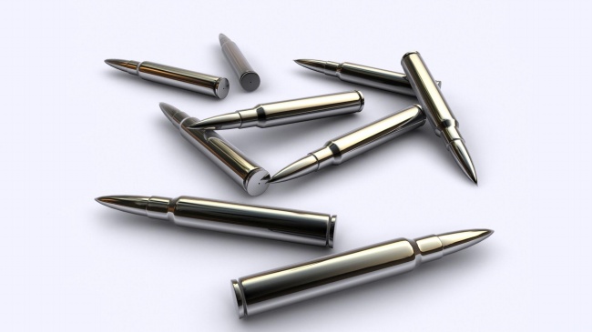 梦到了和狗预兆了什么吗