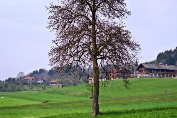 梦到了和弟弟是什么意思