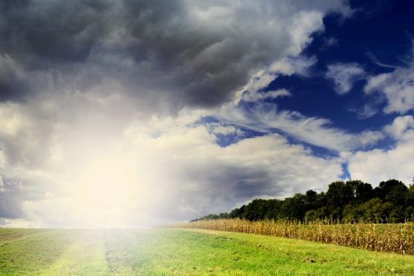 梦到对奖有什么含义