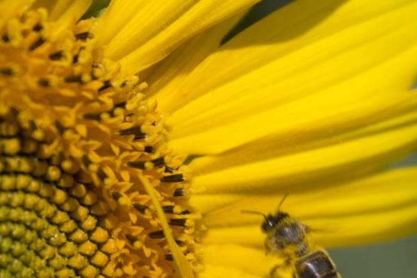 梦见从车上跳下来是凶兆还是吉兆