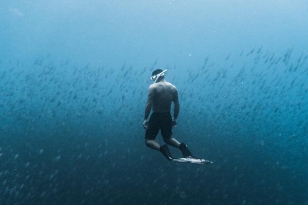 属狗人在2025年适合创业吗，属狗人蛇年事业运