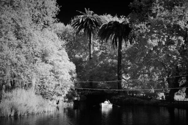 属猪2025年的特大贵人，属猪人今年的贵人是谁