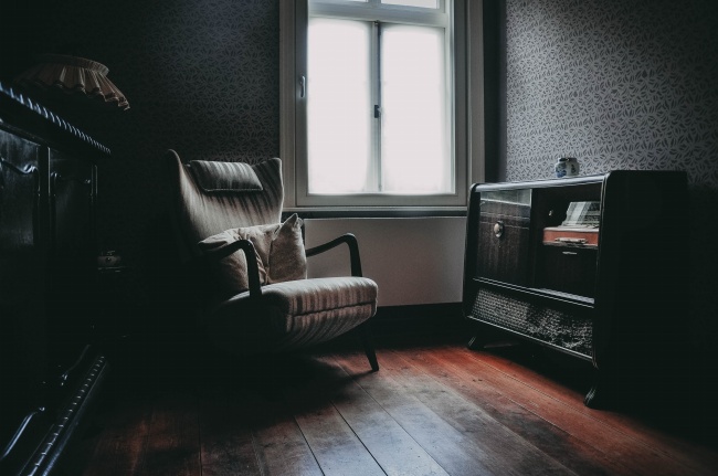 属狗2025年幸运色和忌色，属狗2025年的喜忌颜色