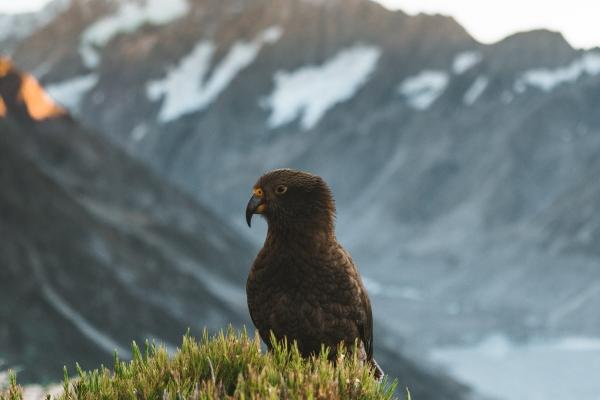 梦到床上涨水什么寓意