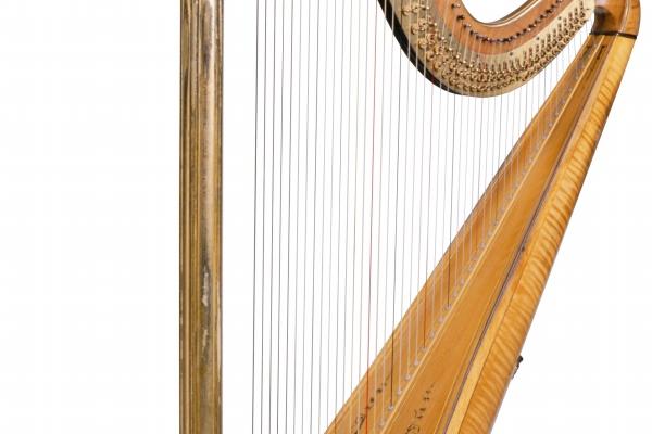 梦到了子母羊什么预兆