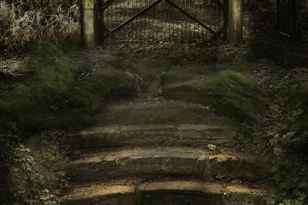 梦见金鼎是什么启示