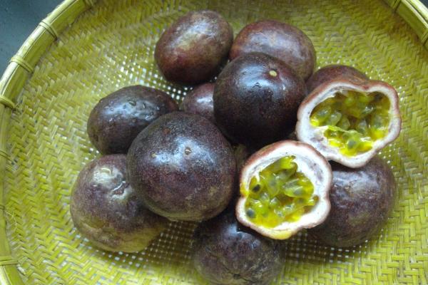 梦到手指有洞是什么兆头