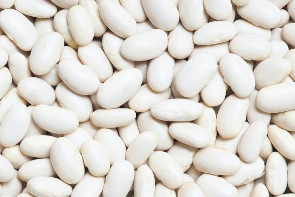 梦到了玉竹有何寓意