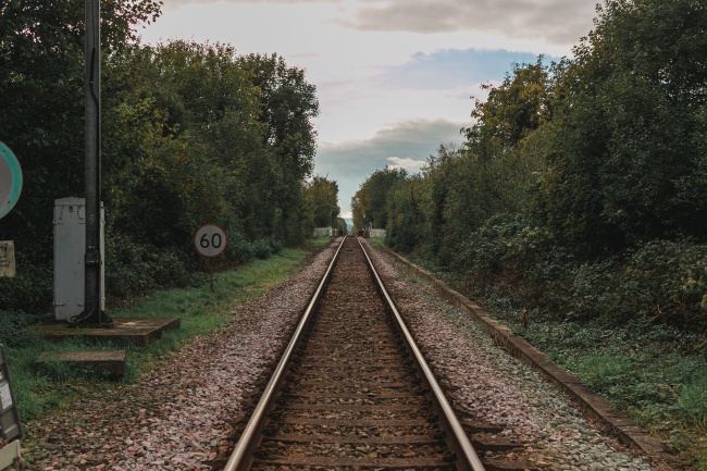 最旺兔的财神是谁，属兔的和哪个财神有缘