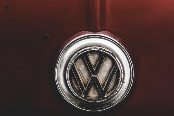 梦见猫吃小鸡怎么样