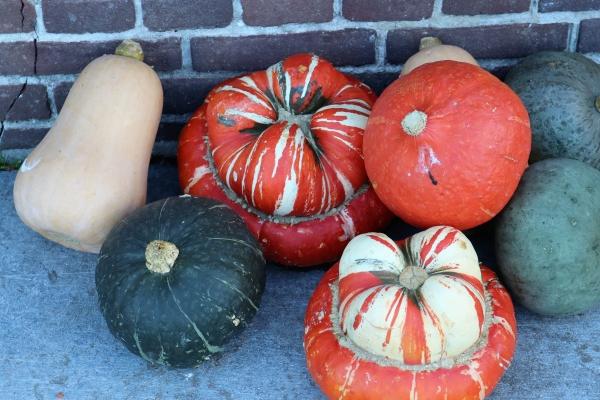 梦到了吃牛筋是啥预兆