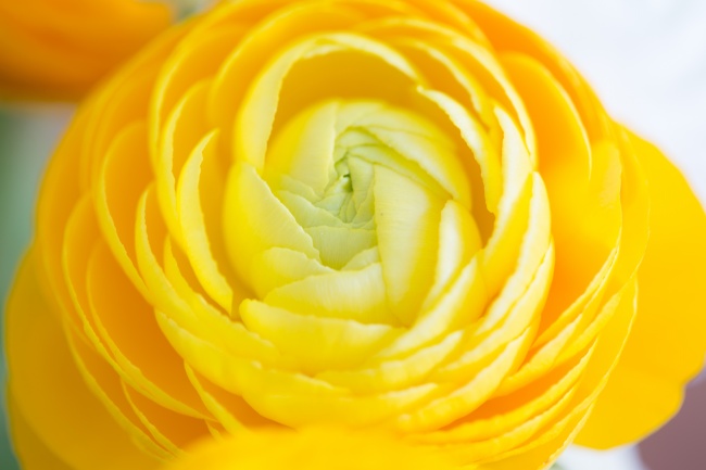 梦见送别人项链会是什么预兆