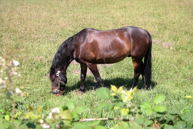 梦到下大雨收衣服预示什么