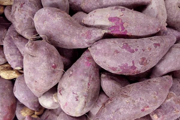 梦到了男友和好有什么说法