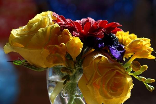 梦见新短裤有什么意义吗