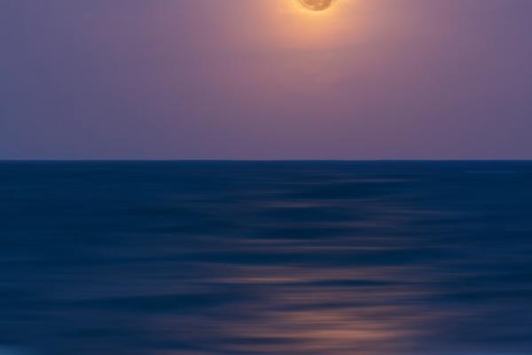 梦见杀死莽蛇好不好