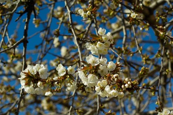 梦到了下巴受伤预兆了什么吗